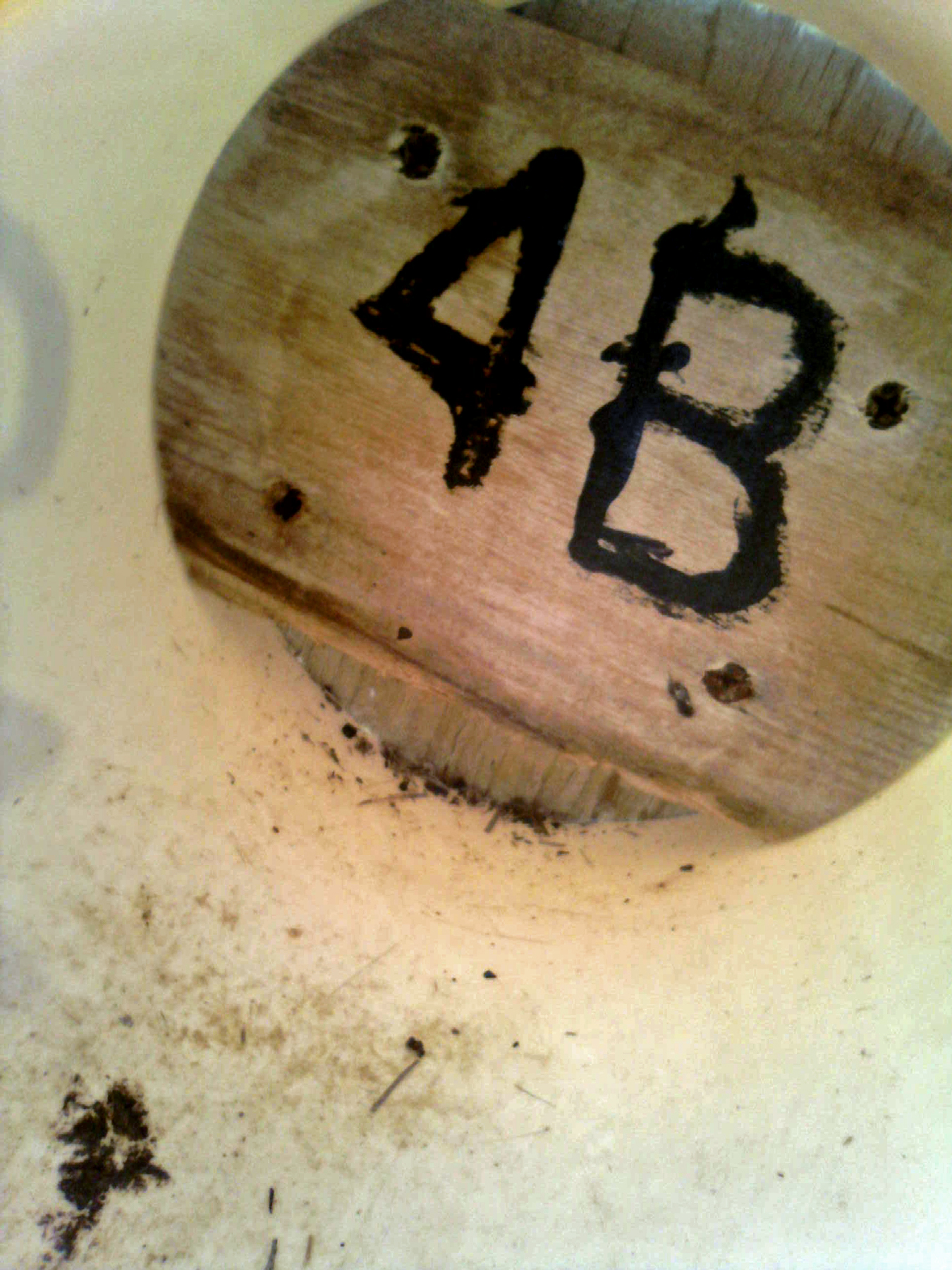OPAS 4B